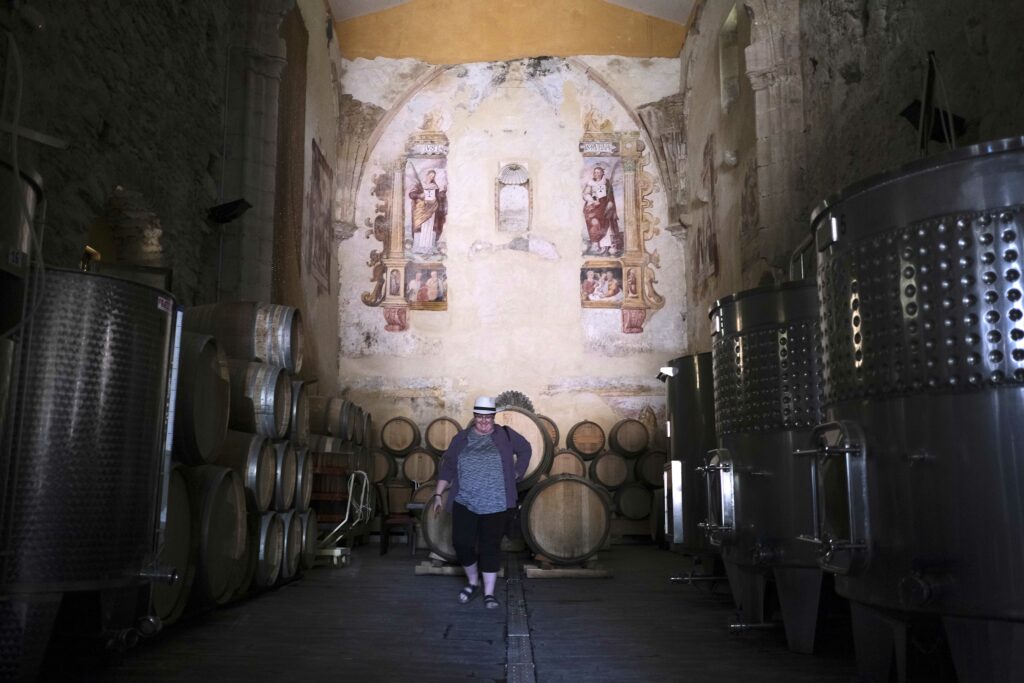 Visitante en la bodega Descalzos Viejos.
