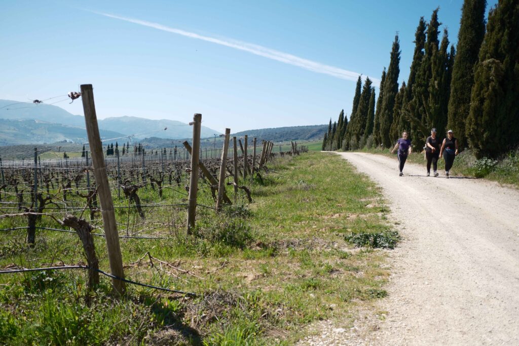 Los equipos ya trabajan en los viñedos.