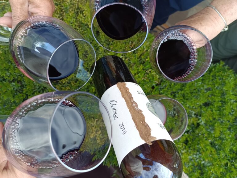 Vetas Mar de Tethys 2010, mejor tinto de España.