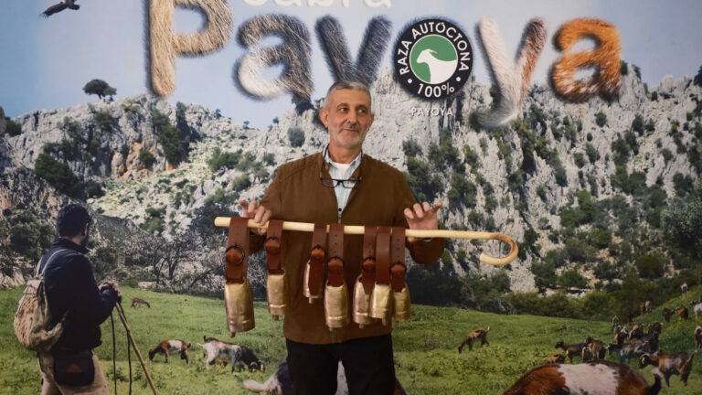 Juan Antonio Gómez, propietario de una ganadería en Gaucín y triunfador del concurso nacional de cabra payoya.